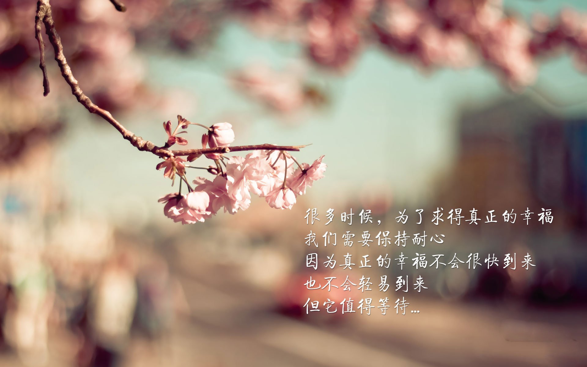 开云体育平台APP-利拉德绝境封神，76人跨过广东队，谁还能阻挡关键先生？