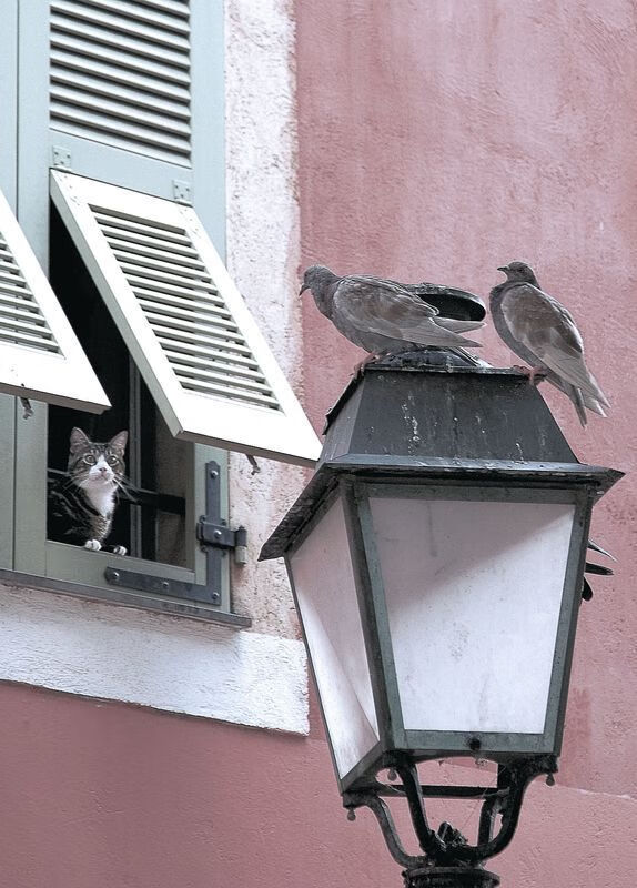 绿茵唯一性，当贝蒂斯遇见乌拉圭，金玟哉用铁血防守定义非典型高光