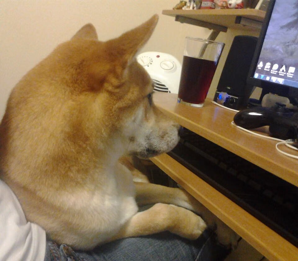 上海队制霸勇士?克莱关键战不手软,一记三分定乾坤!