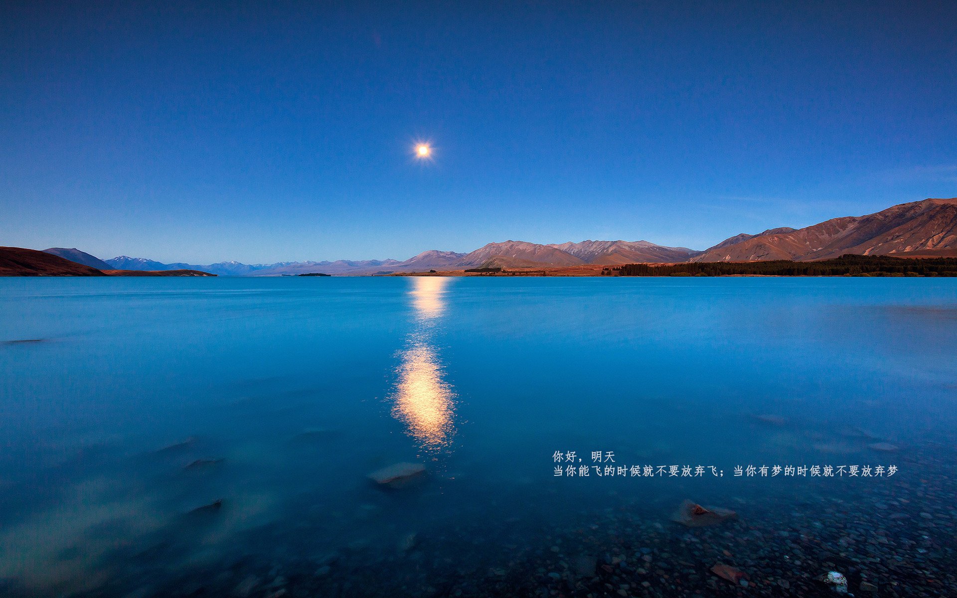 开云体育登录-镜像交锋