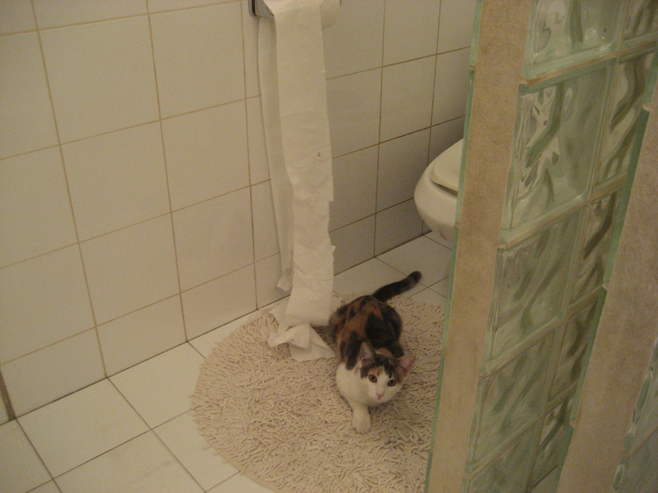 绿茵场上的猛龙时刻，从西甲德比看顶级较量的速胜哲学