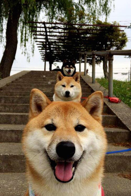 开云体育app-撕裂与优雅，保罗·乔治如何用冷静的锋刃肢解开拓者防线