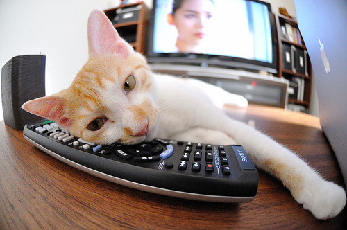 开云体育入口-一记解心锁的绝杀，劳塔罗如何从争议漩涡走向阿根廷之光