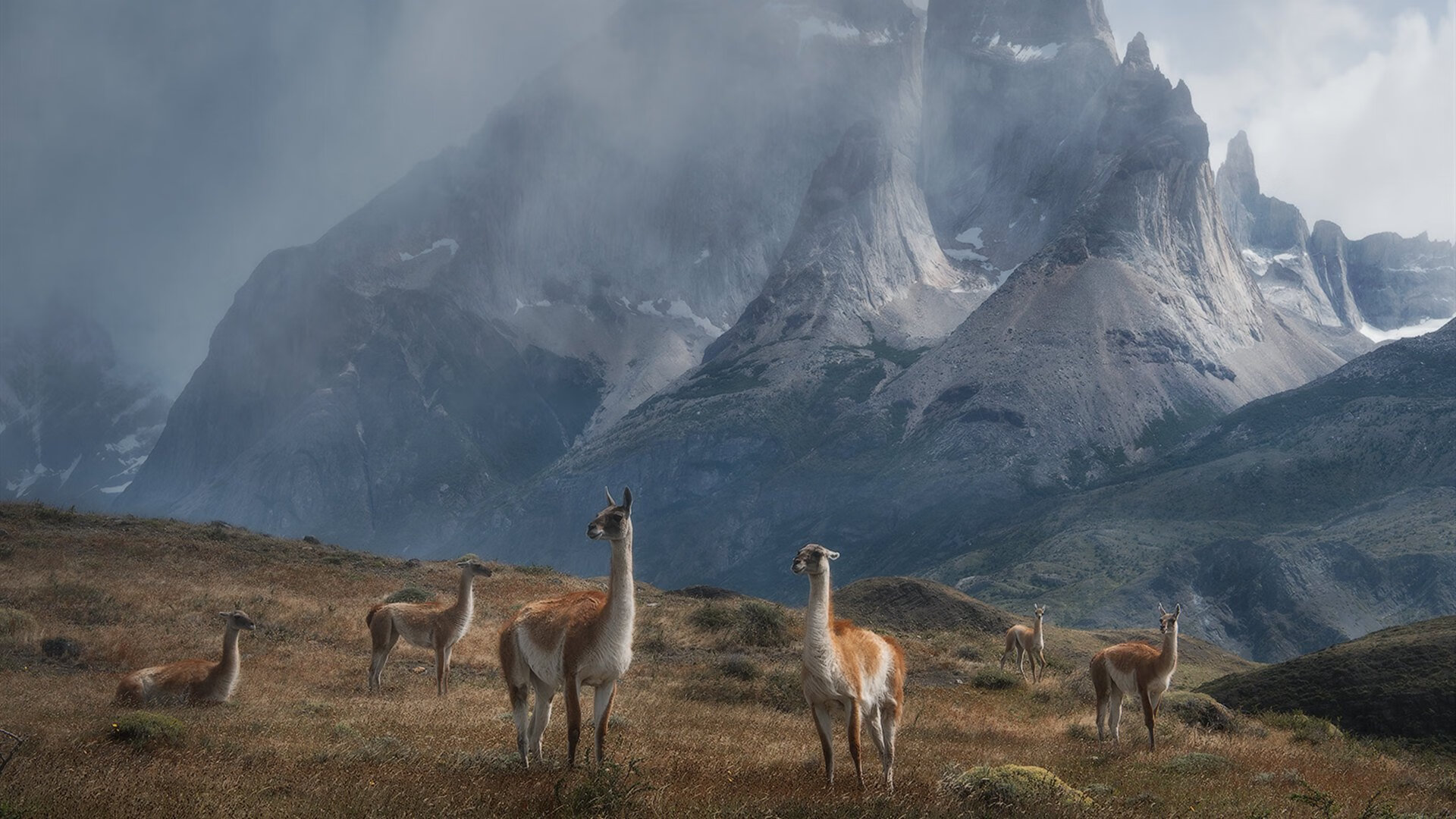 那一夜，达拉斯的武切维奇让波波维奇想起被支配的恐惧