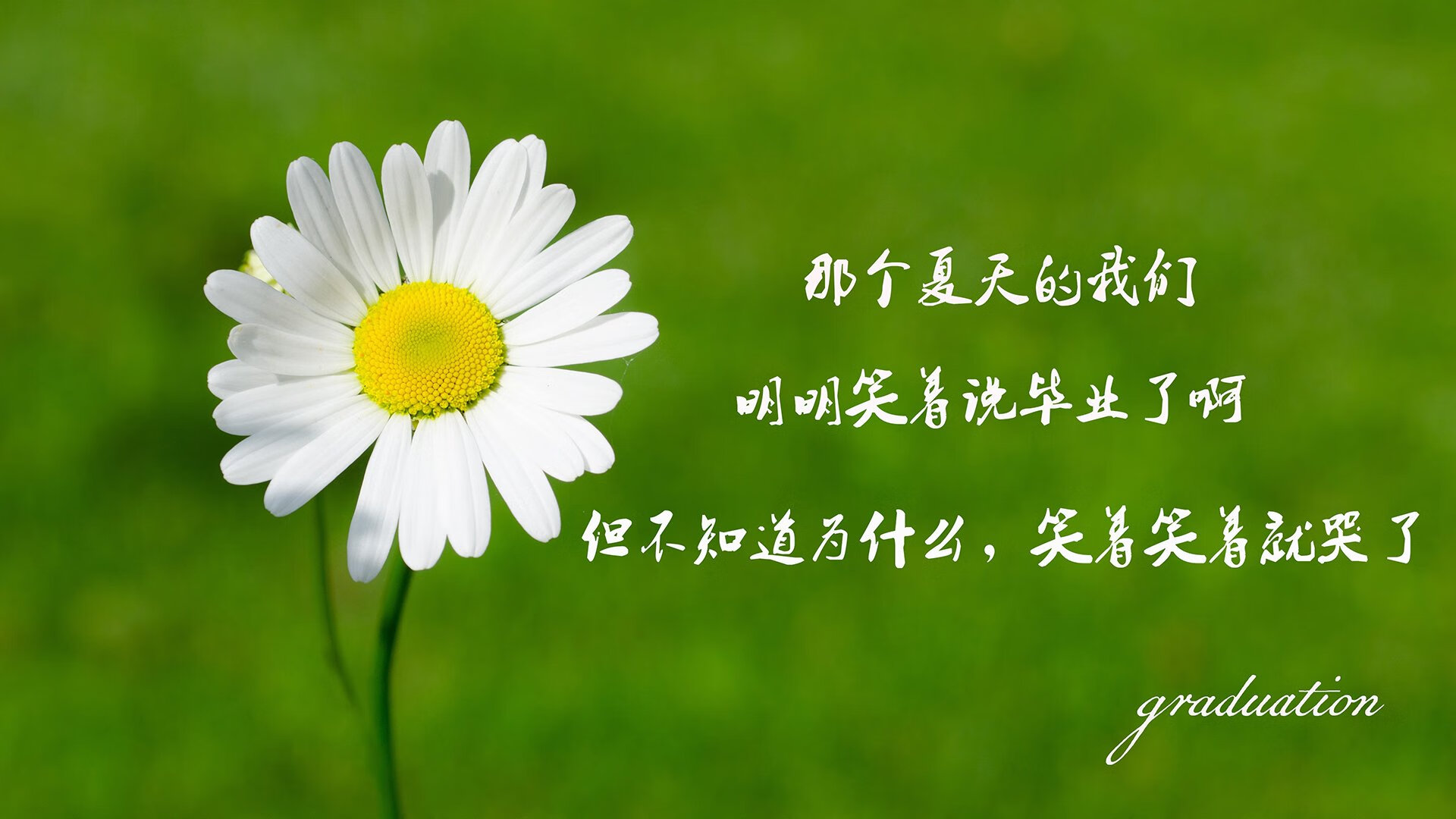铁幕下的救赎，2026美加墨，B费的匕首如何刺穿捷克的钢铁防线，完成德意志的十年复仇